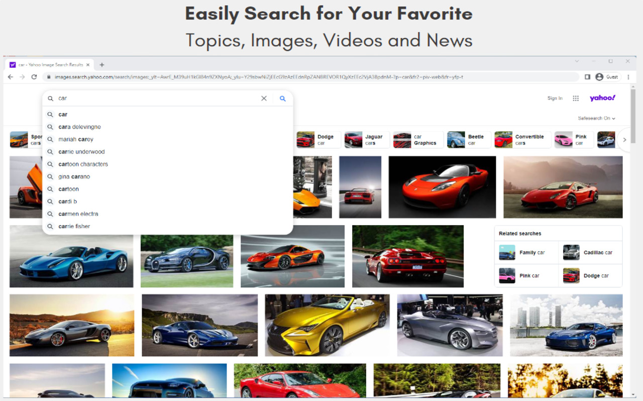 Roller Coaster Background Pictures截图1
