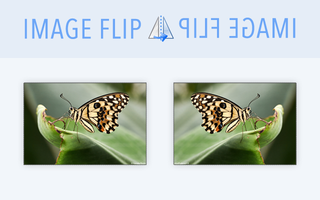 Image Flip截图2