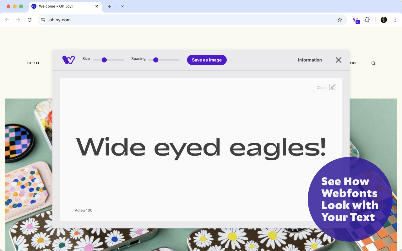 Wordmark Extension截图1