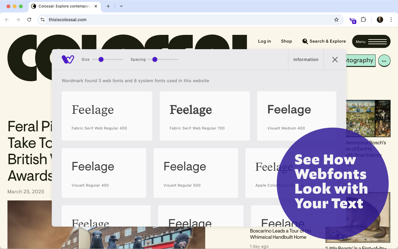 Wordmark Extension截图6