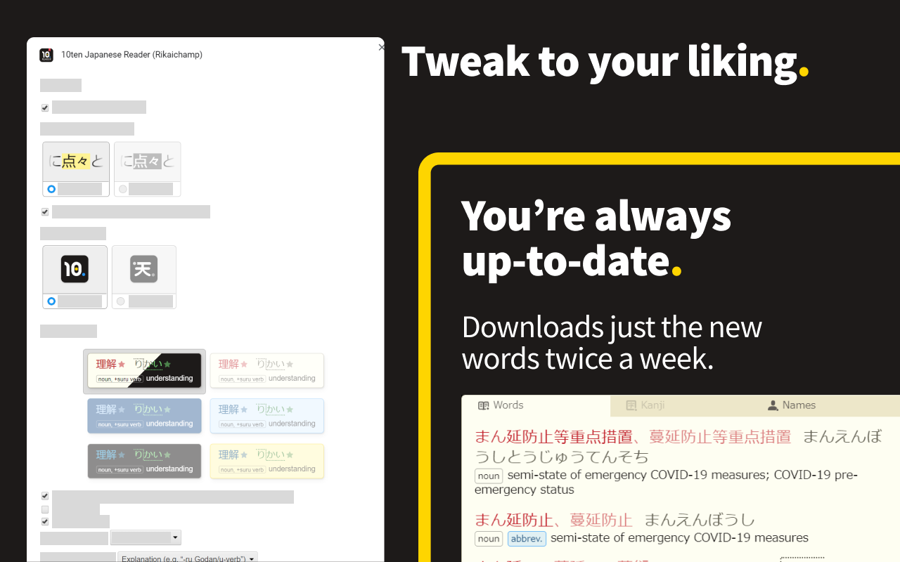 10ten Japanese Reader (Rikaichamp)截图2