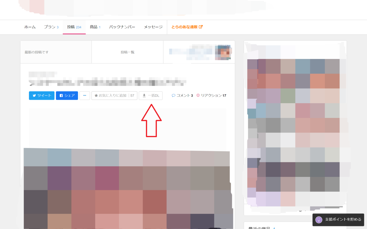 fantia-dl-tool截图2
