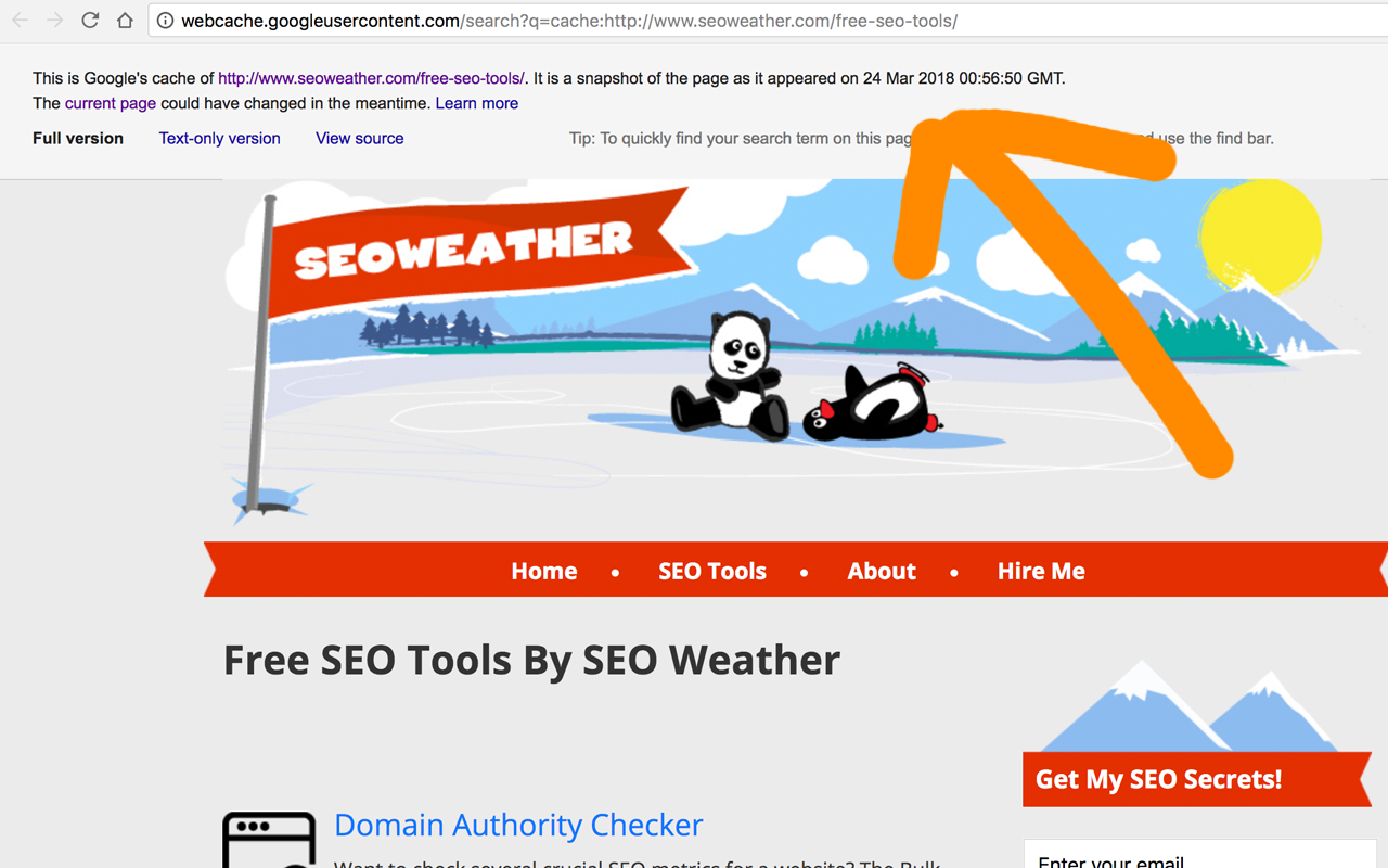 Google Cache Search截图1