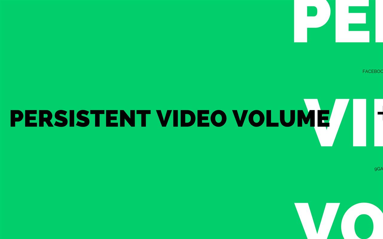 Persistent Video/Audio Volume截图1